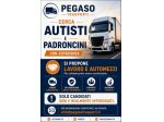 AZIENDA DI TRASPORTI RICERCA AUTISTI E PADRONCINI
