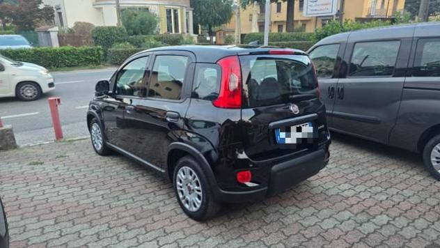FIAT Panda 1.0 FireFly S&S Hybrid rif. 24146726 - Foto 5