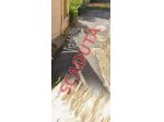 Immobile in asta di 287 m² in vendita a Moricone