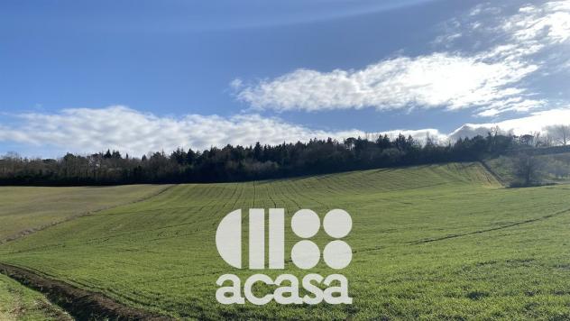 CASOLARE DA RISTRUTTURARE IN POSIZIONE PANORAMICA - Foto 9