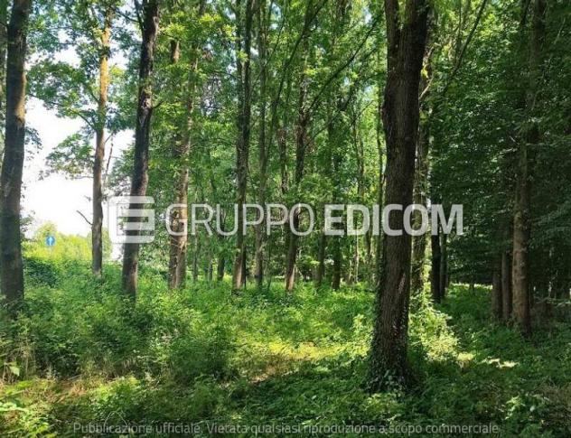Terreno di 34378 mq in vendita a Treviso - Rif. 4550468 - Foto 5