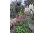 MINIAPPARTAMENTO ESTIVO SAN TEODORO