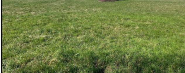 Immobile in asta di 1989 m² in vendita a Bagnolo San Vito - Foto 3