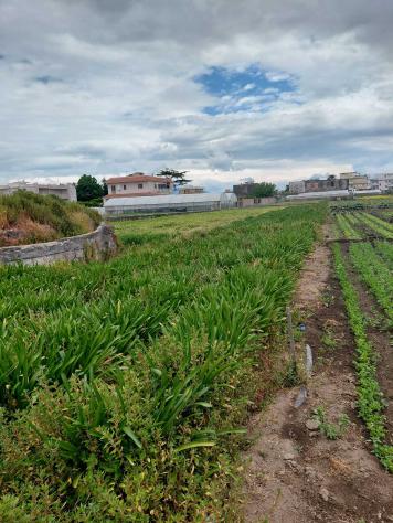 Agricolo in Traversa Schito - Foto 7
