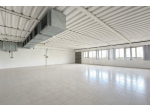 Capannone industriale in vendita a Vitolini - Vinci 900 mq  Rif: 1403935
