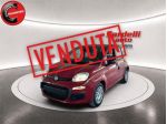FIAT Pandina 1.0 FireFly 65 CV Hybrid Icon rif. 23989813