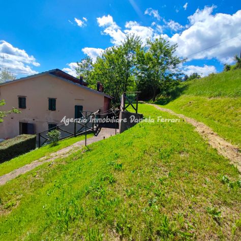 RIF 204 Casa di paese con ampio giardino e pozzo in Vendita a Sasso Molare,
