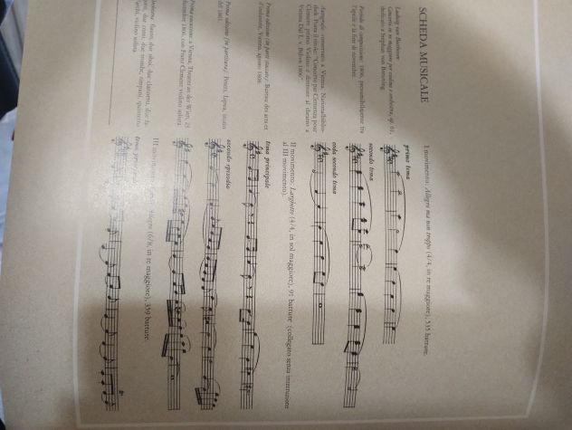 I GRANDI MUSICISTI DI MUSICA CLASSICA VINILE 33 GIRI - Foto 7