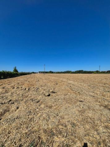 Terreno agricolo in vendita a Fucecchio 1500 mq Rif: 1339884 - Foto 4