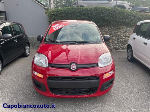 FIAT Panda 1.0 FireFly S&S Hybrid POP KM0 PROMO rif. 24099397 - Foto 2