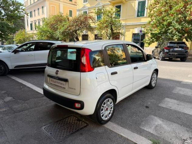 FIAT Panda 1.0 FireFly S&S Hybrid Easy-Nuovissima rif. 23996077 - Foto 10
