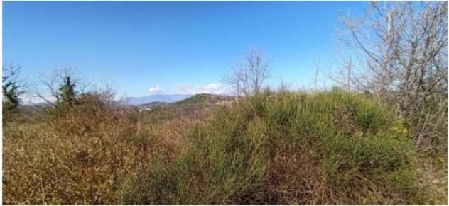 Immobile in asta di 186 m² con più di 5 locali e box auto in vendita a Villamagna - Foto 3