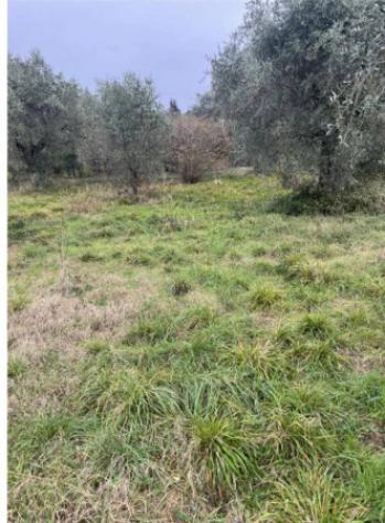 Immobile in asta di 1300 m² in vendita a Fara in Sabina - Foto 5