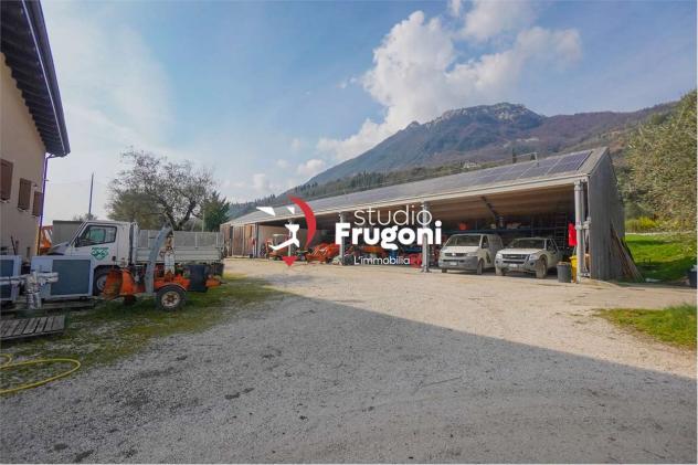 vf911 - TENUTA CON 2 ETTARI E ANNESSI AGRICOLI - Foto 8