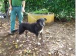 NINFA, bella e socievole