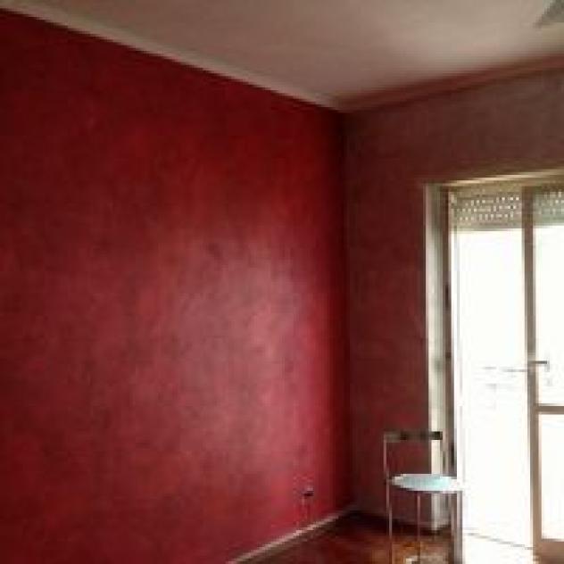 Pittura Edile 2010