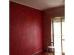 Pittura Edile 2010