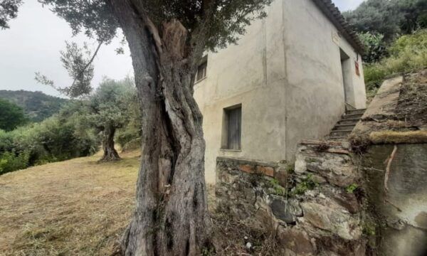 CASALE CON TERRENO IN CAMPAGNA - Foto 7