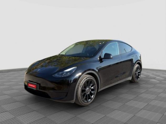 TESLA Model Y Model Y Long Range AWD rif. 23925662