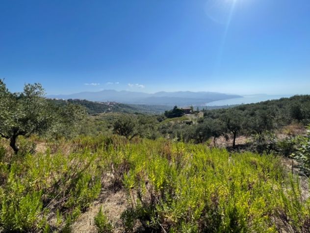 Casal Velino a 3 Km dal mare terreno mq 6.650