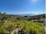 Casal Velino a 3 Km dal mare terreno mq 6.650