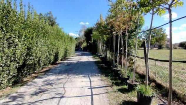 Immobile in asta di 4002 m² in vendita a Colli al Metauro - Foto 5