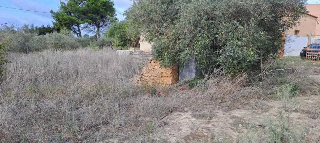 Agricolo in vendita a Marsala - Foto 2