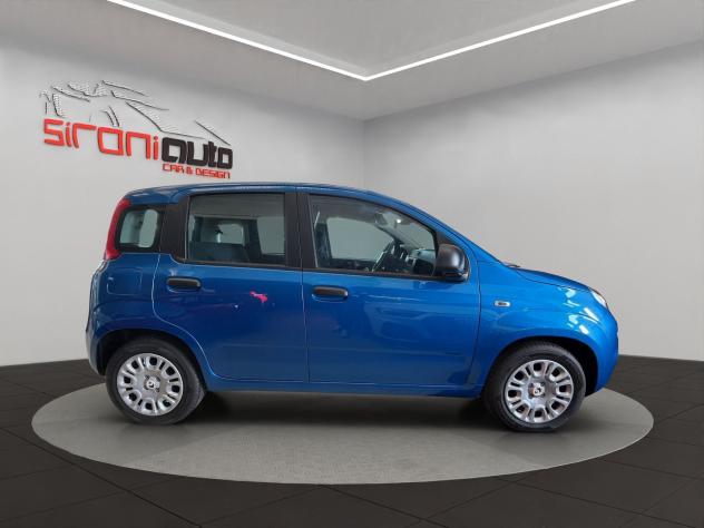 FIAT Pandina Pandina 1.0 firefly hybrid Icon s&s 65cv - Foto 8