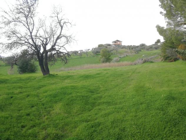Agricolo in vendita a Caltanissetta - Foto 3
