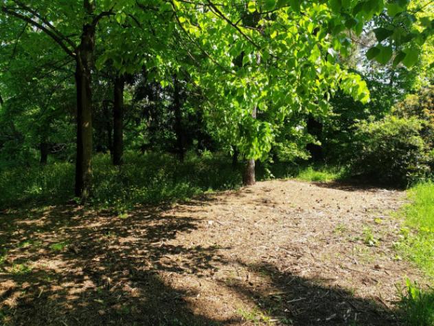 Rustico / Casale di 1200 m² in vendita a Rolo - Foto 11