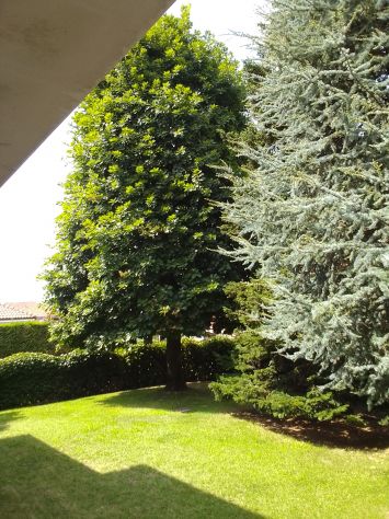 VILLA BIFAMILIARE INDIPENDENTE - Foto 2
