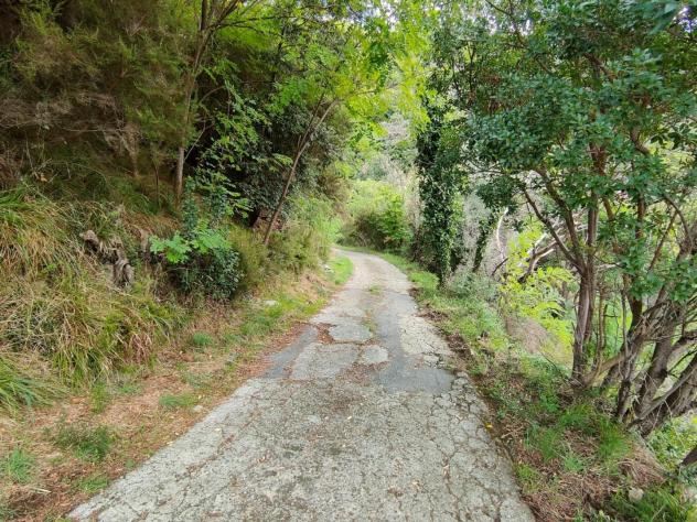 Terreno edif. residenziale in vendita a Deiva Marina 5500 mq Rif: 1391394 - Foto 10