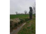 Terreno edificabile in vendita a Noale