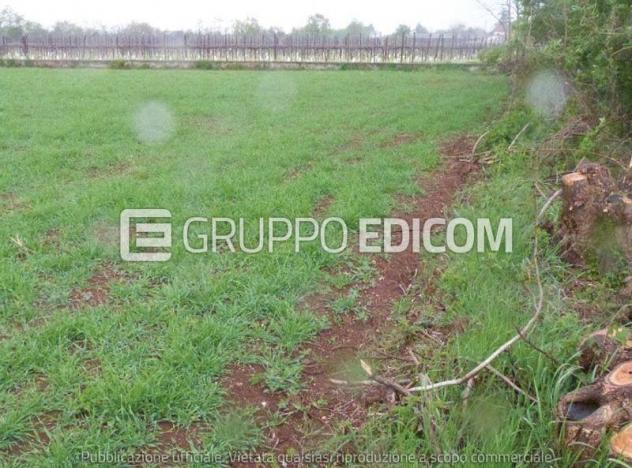Terreno di 13090 mq in vendita a Paese - Rif. 4549350 - Foto 4