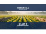 Immobile in asta di 3000 m² in vendita a Piombino