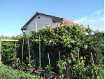 Terreno agricolo 1ha con annesso 26mq circa