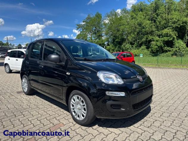 FIAT Panda 1.0 FireFly S&S Hybrid POP KM0 PROMO rif. 23776927 - Foto 3