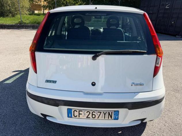 FIAT Punto 1.2i 16V cat 3p Verve senza nessun lavoro da fare rif. 24158742 - Foto 7