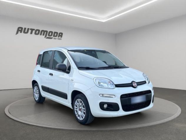 FIAT Panda 1.2 Easy 69CV rif. 23159218 - Foto 3