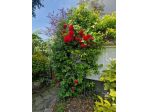 Appartamento - Gassino Torinese . Rif.: 33883