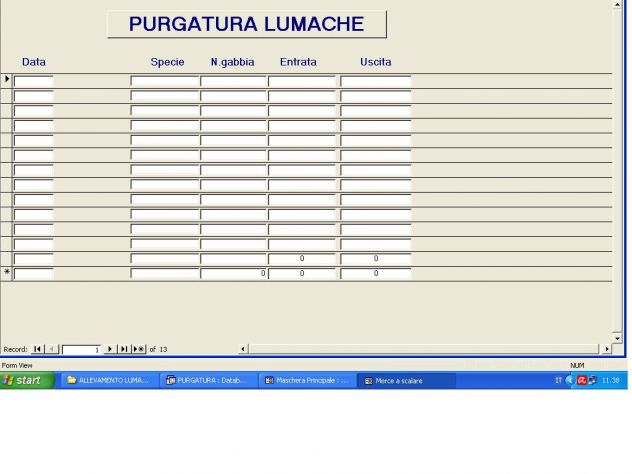 SOFTWARE GESTIONALE ALLEVAMENTO LUMACHE SU PEN DRIVE O PER EMAIL - Foto 2
