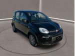 FIAT Panda 3ª serie -  1.0 FireFly S&S Hybrid rif. 23619244