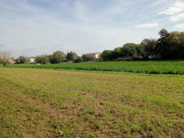 Immobile in asta di 37388 m² in vendita a Novellara - Foto 6