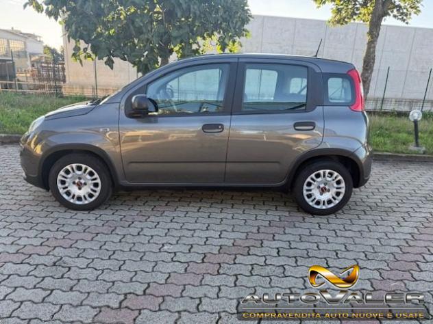 FIAT Panda 1.0 FireFly S&S Hybrid rif. 23767226 - Foto 6