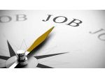 Cerco 5 persone motivate per progetto flessibile
