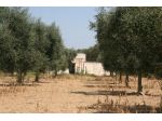 Agricolo in vendita a Cutrofiano