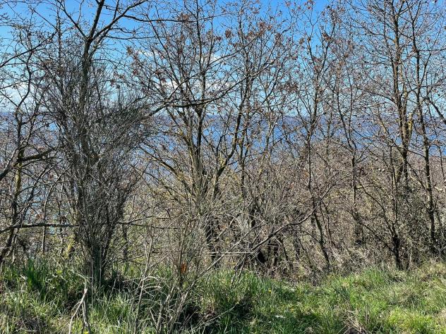 Agricolo in Via della Madonnella - Foto 15