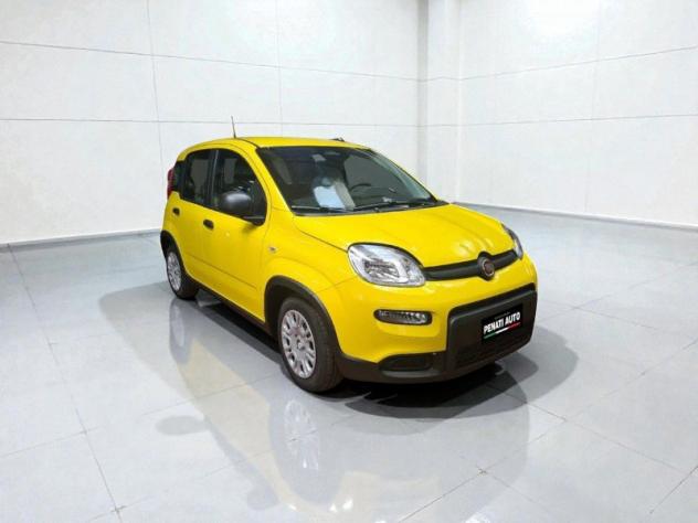 FIAT Pandina Pandina 1.0 firefly hybrid Icon s&s 65cv - Foto 9