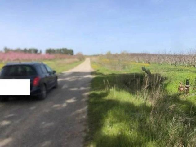 Immobile in asta di 2485532 m² in vendita a Pisticci - Foto 6