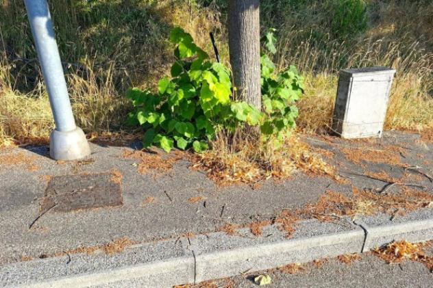 Immobile in asta di 485 m² in vendita a Bertinoro - Foto 8